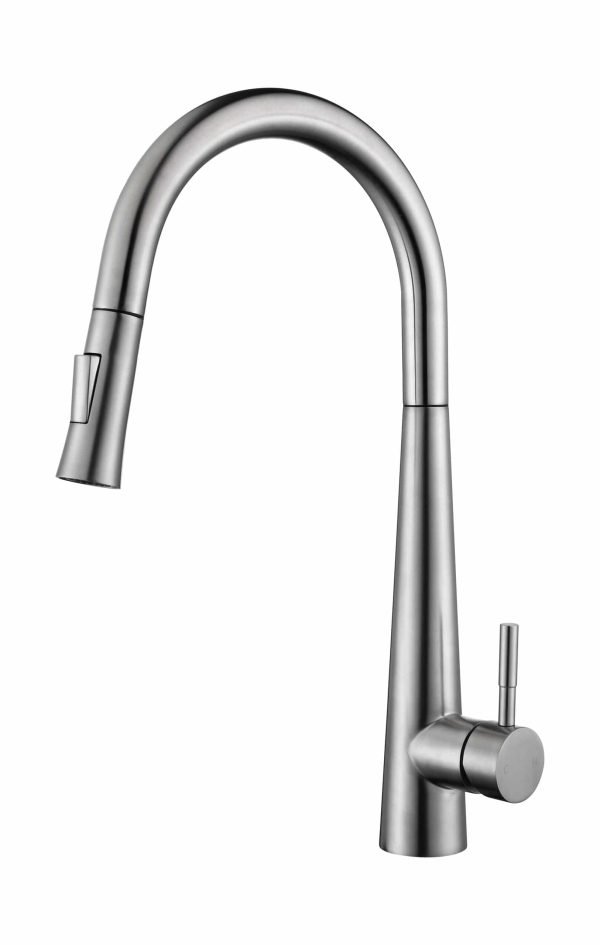 Kitchen Faucet with a pull out K149