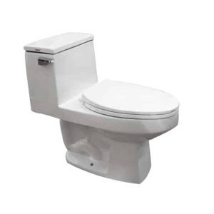 Single Flush 1-Piece Toilet (VA0092)
