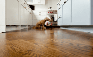 pet-proof-flooring : A young girl and her fluffy dog share a moment on the shiny laminate wood flooring of a bright, modern kitchen.